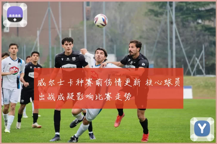 威尔士卡种赛前伤情更新 核心球员出战成疑影响比赛走势