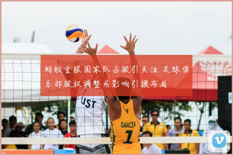 蚂蚁金服国家队占股引关注 足球俱乐部股权调整或影响引援布局