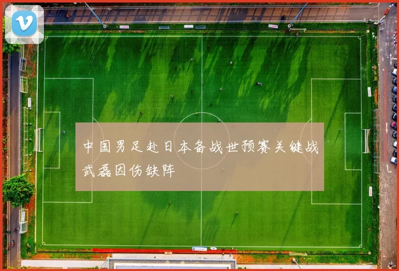 中国男足赴日本备战世预赛关键战武磊因伤缺阵