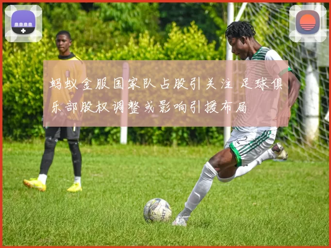 蚂蚁金服国家队占股引关注 足球俱乐部股权调整或影响引援布局