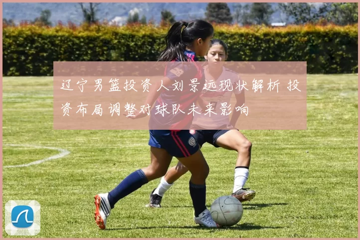 辽宁男篮投资人刘景远现状解析 投资布局调整对球队未来影响