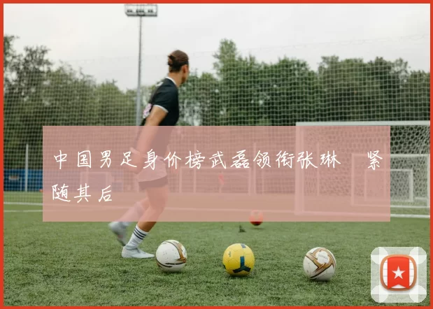 中国男足身价榜武磊领衔张琳芃紧随其后